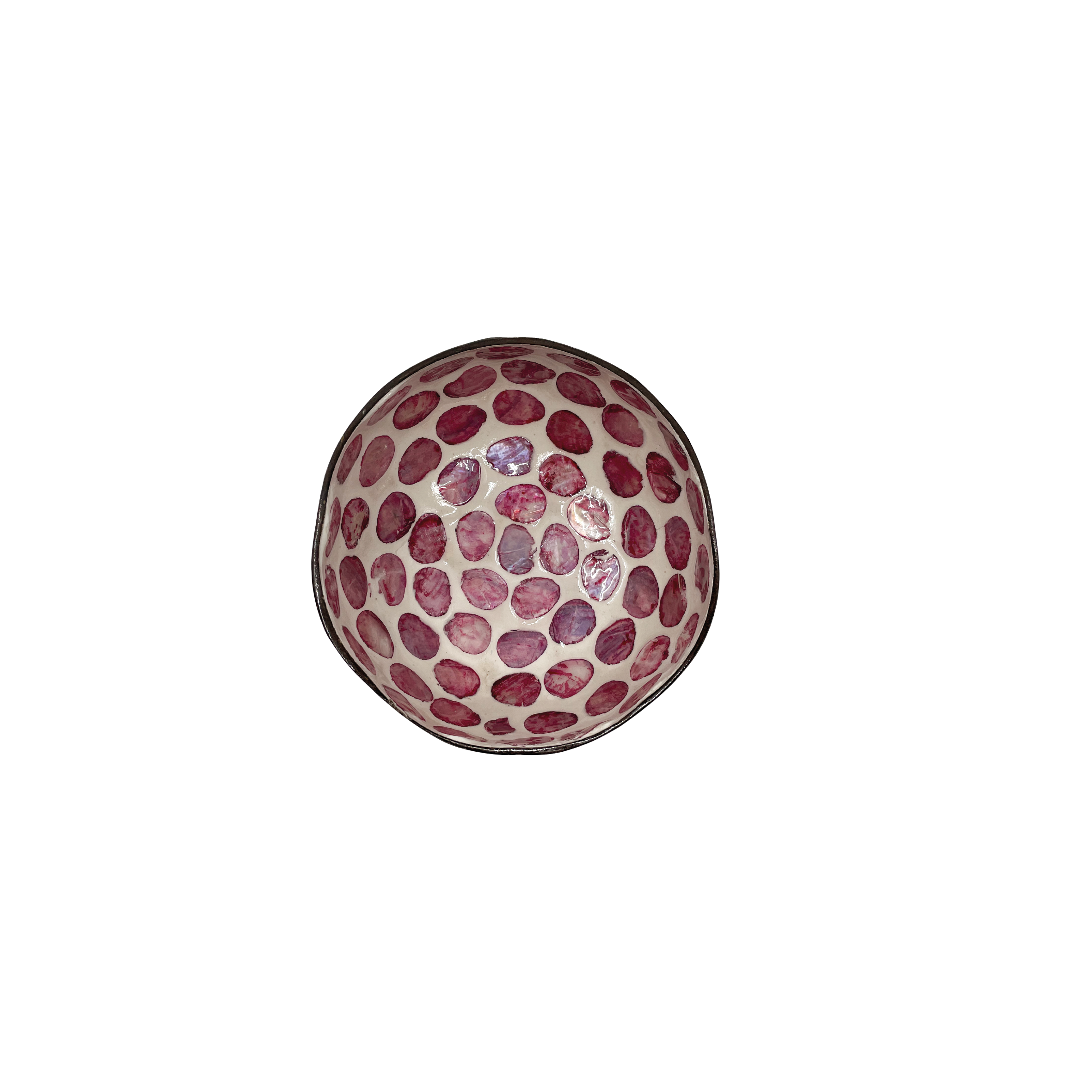 Kokoskommetje - Purple Mother of Sea Pearl