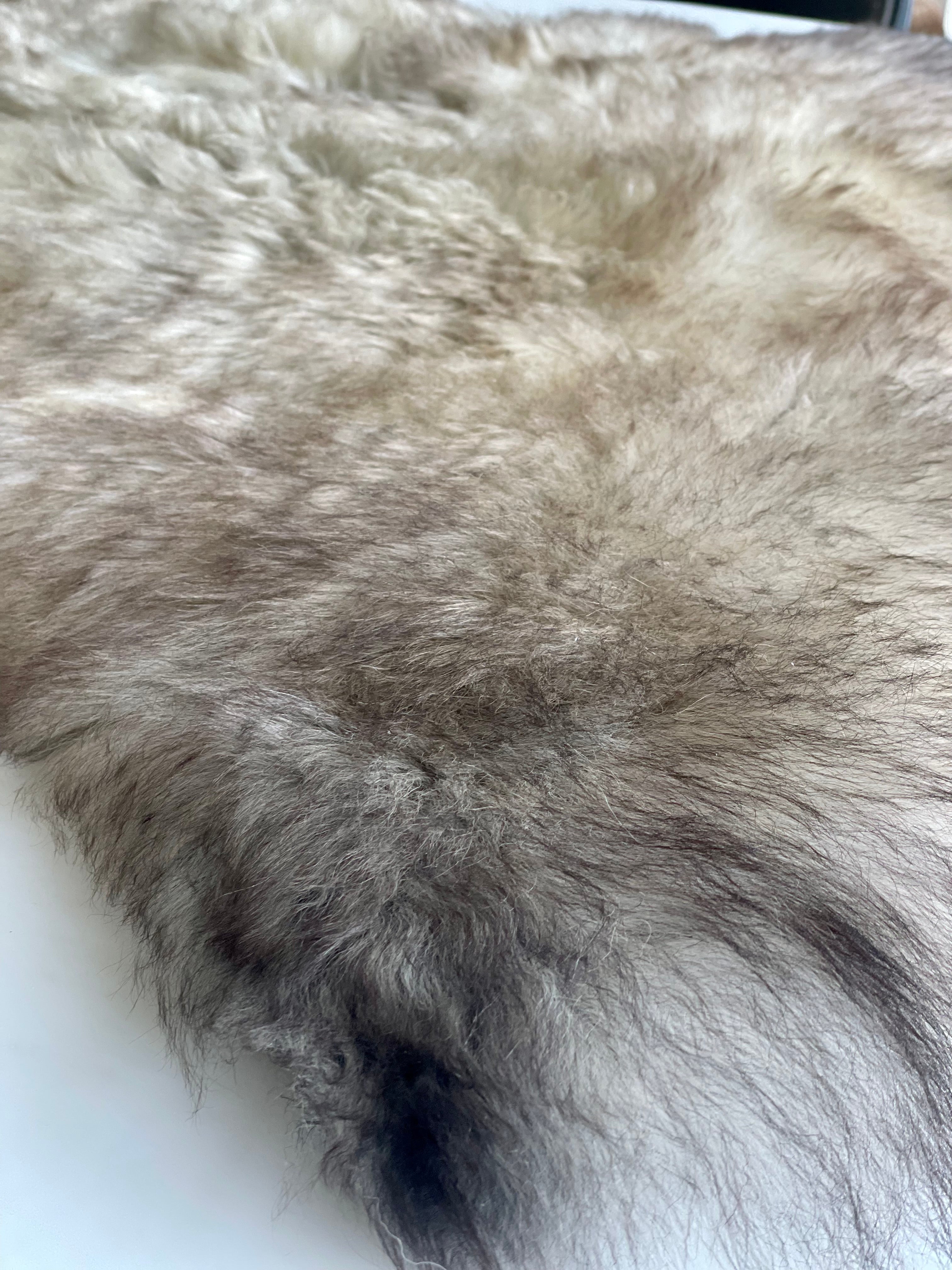 Multicolored Texel sheepskin L 1