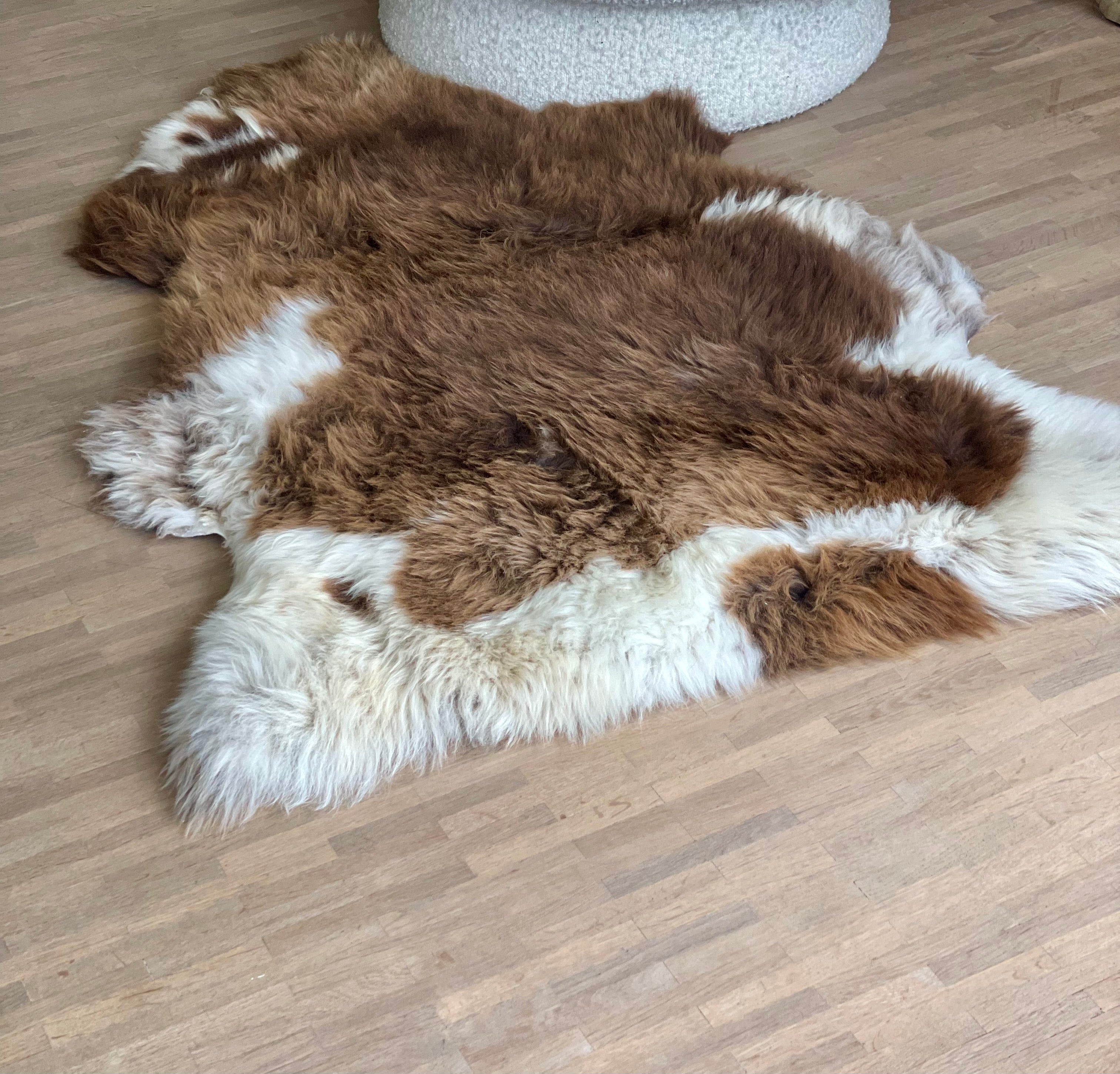 Multicolored Texel sheepskin XXL